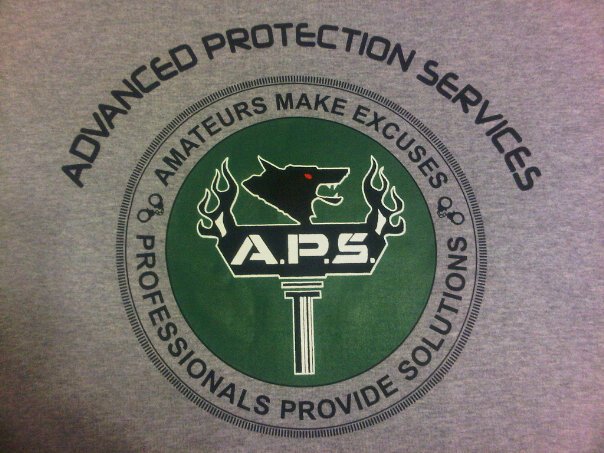 Advanced Protection Services professionals provide solutions