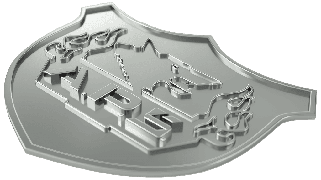 Advanced Protection Services LLC